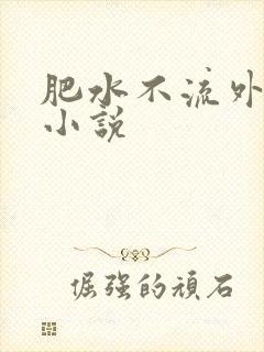 肥水不流外人田小说
