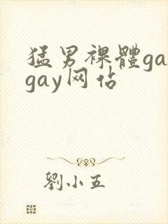 猛男裸体gaygay网站