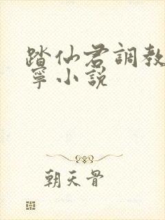 踏仙君调教楚晚宁小说封面