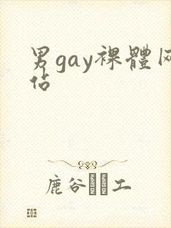 男gay裸体网站