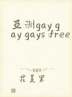 亚洲gay gay gays free