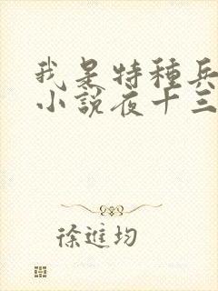 我是特种兵杨洛小说夜十三