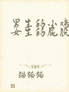 男生的小鸡插入女生的屁股视频封面