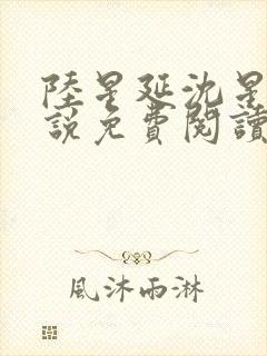 陆星延沈星若小说免费阅读