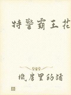 特警霸王花封面