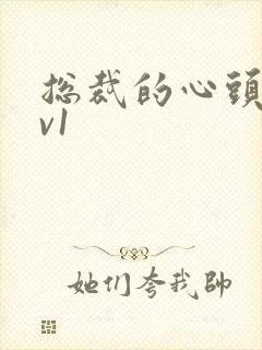 总裁的心头宝1v1