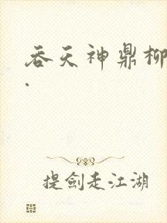 吞天神鼎柳无邪.封面