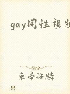 gay同性视频封面