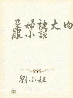 孕妇被大肉楱征服小说封面