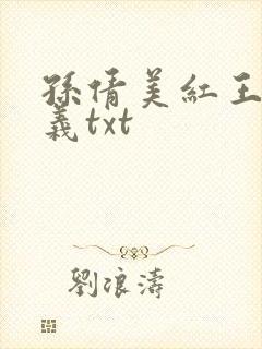 孙倩美红王申高义txt封面