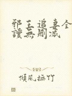 邪王追妻全文阅读无删减