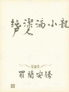 纯洁滴小龙 捞尸人封面