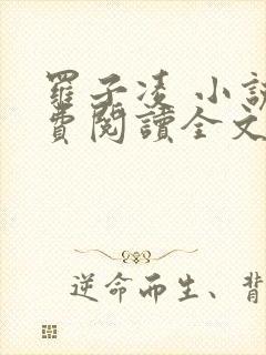 罗子凌 小说免费阅读全文最新封面