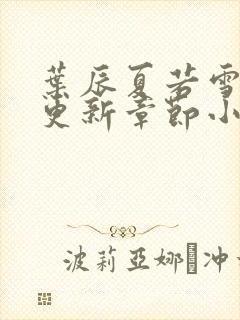 叶辰夏若雪最新更新章节小说