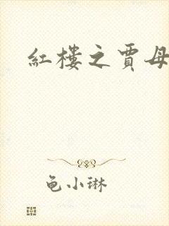 红楼之贾母封面