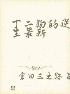 丁二狗的逆袭人生最新