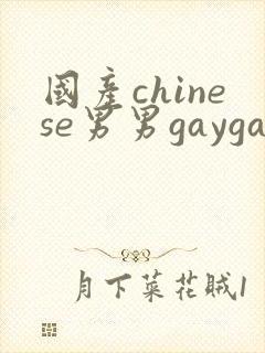 国产chinese男男gaygay在线观看