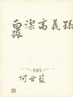 白洁高义孙倩赵振封面