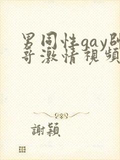 男同性gay帅哥激情视频