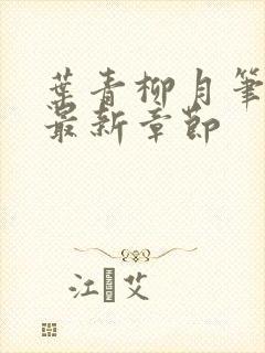 叶青柳月笔趣阁最新章节
