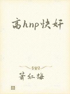 高hnp快奸
