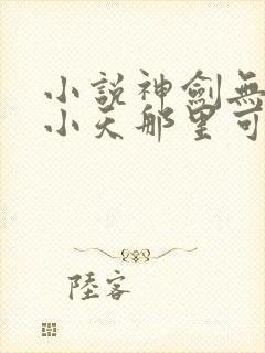 小说神剑无敌杨小天那里可以看封面