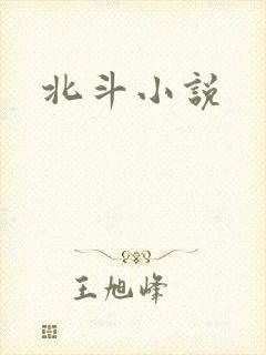 北斗小说封面