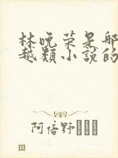 林晚荣是哪部穿越类小说的主人公