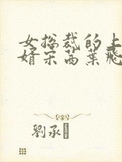 女总裁的上门女婿宋茜叶飞