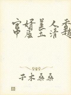 官婿美人香刘志中卢玉清赵嫣