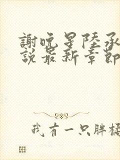 谢晚星陆承渊小说最新章节更新封面