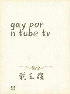 gay porn tube tv封面