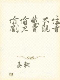 偷偷藏不住广播剧免费观看