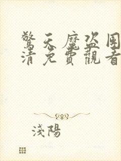 惊天魔盗团4高清免费观看