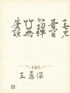 唐竹筠晋王的小说无弹窗免费阅读封面