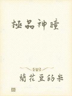 极品神瞳