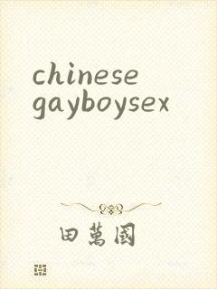 chinesegayboysex