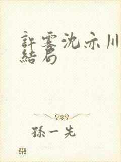 许雾沈亦川番外结局