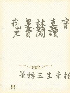 我是林喜宝小说免费阅读封面