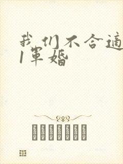 我们不合适1v1军婚