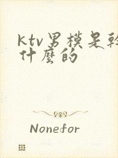 ktv男模是干什么的