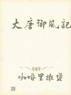 大唐御风记封面