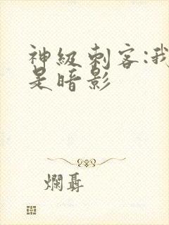 神级刺客:我即是暗影