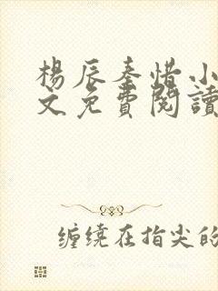 杨辰秦惜小说全文免费阅读最新章节