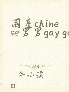 国产chinese男男gay gay网站