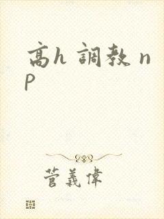 高h 调教 np