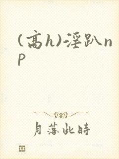 (高h)淫趴np
