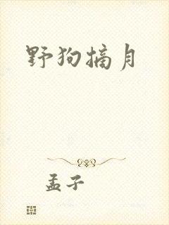 野狗摘月封面
