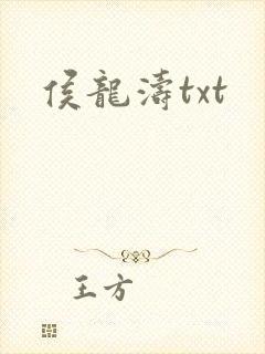 侯龙涛txt封面