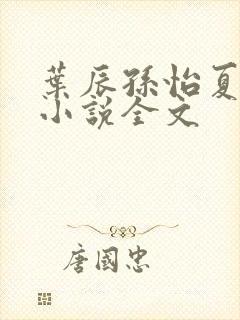 叶辰孙怡夏若雪小说全文